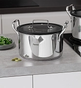 Кастрюля из нержавеющей стали индукционная 3,45 л / 20 см Fabia