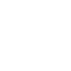 IRON ELEGANCE