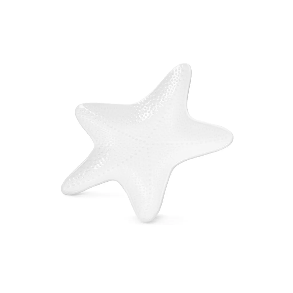SEA SHELL