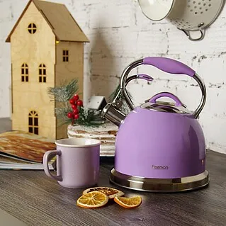 Чайник для плиты: какой лучше?