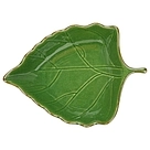 6196_1.jpg