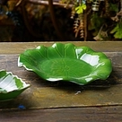 6197_3.jpg