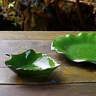6196_4.jpg