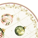 13343_5.jpg