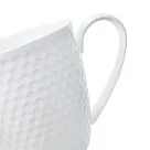 13737_5.jpg