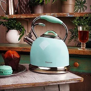 Чайник для плиты или электрический — что выбрать?