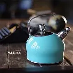 Какой чайник  для плиты выбрать