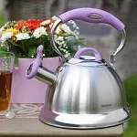 Чайник для плиты: какой выбрать?