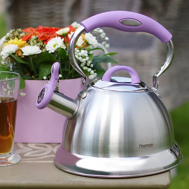 Чайник для плиты: какой выбрать?