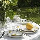 6035_9.jpg