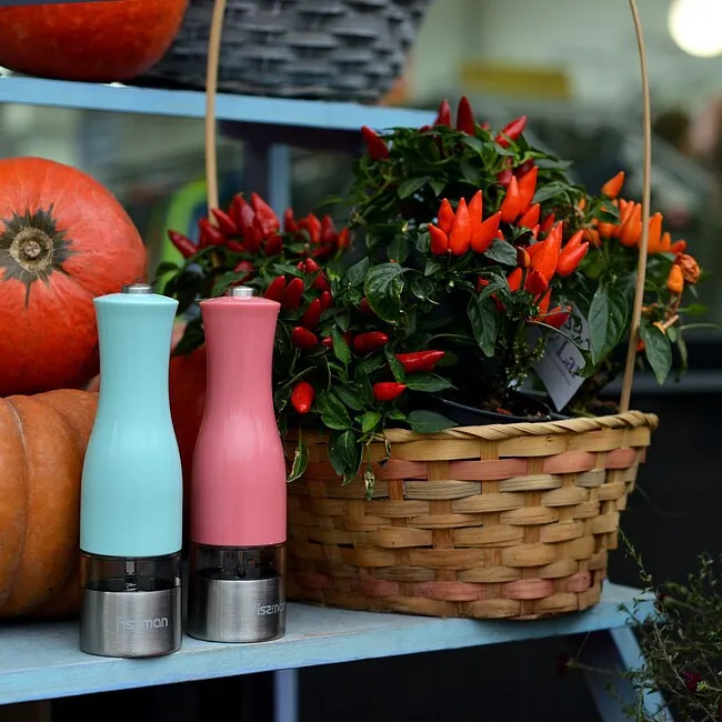 Выбираем мельницу для специй