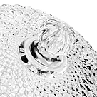 13263_5.jpg