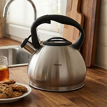 Чайник для плиты 2,8 л из нержавеющей стали Anika