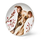 Farforovayatarelka145smDogsart16145.jpg