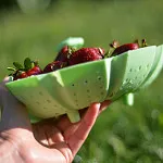 Силиконовые формы: как пользоваться?