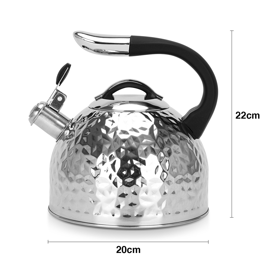 Чайник для плиты Anita 2,5л